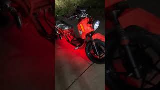 2023 Icebear Maddog 150cc Gen 5 Chuckus Ruckus clone [upl. by Tatianna]