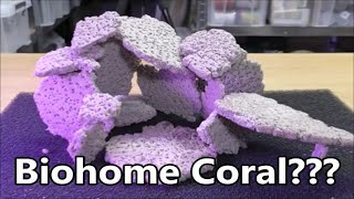 Biohome Coral  What Do YOU Think [upl. by Lladnar763]