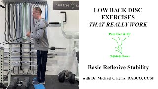 L3 L4 L5 S1 Disc Exercises for Pain Herniation Bulge amp Degeneration Reflex Basic Stability Training [upl. by Blockus]