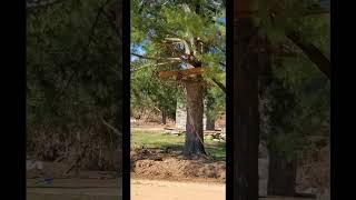 Davy Crockett Birthplace state park hurricane Helene flood damage [upl. by Lund910]