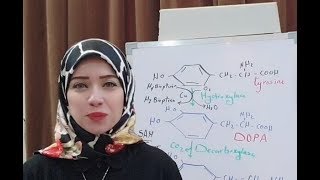 Protein Metabolism Session 16 Aromatic Amino Acids [upl. by Ainaj]