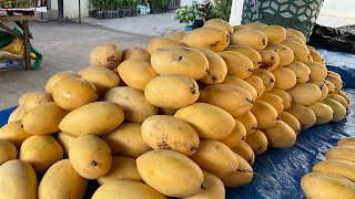 Welcome to Inabanga Bohol Market Day [upl. by Eciram]