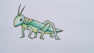 How to draw a grasshopper  Easy grasshopper drawing [upl. by Mears]