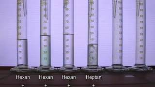 Löslichkeit von Hexan Heptan Wasser und Ethanol Versuch vom 16 08 2020 MPEG [upl. by Geilich]