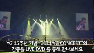 15th Anniv 2011 YG FAMILY CONCERT LIVE DVDSpot [upl. by Scholem]