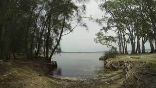 The Wells Campground Myall Lake National Park Near Tea Gardens NSW [upl. by Bushweller]