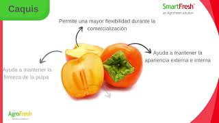 SmartFresh SmartTabs para Caquis Español [upl. by Harvie]