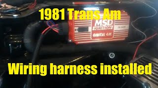 1981 Trans Am Restoration Project  Wiring Harness Installed [upl. by Line80]