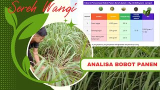 Analisa Bobot Panen Sereh Wangi [upl. by Sakhuja]