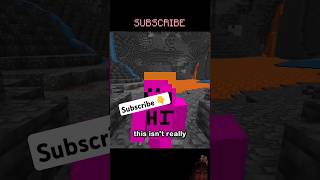 the lecterns secret 😲😭shirts minecraft [upl. by Jennings983]