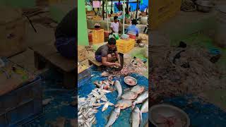 Motaranga pal fish market shortvideo viralvideo fishingvideo  24 October 2024 [upl. by Anaihk]