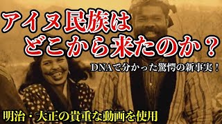 【アイヌ】ゴールデンカムイ★アイヌとはどこから来たのか？★DNAが示す真実★チンギスハンが秘密を握る？★あの民族との多過ぎる共通点とは？ [upl. by Hteik]