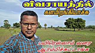 🌾🌾Beautiful Agricultural Field in My Native  Crop initial process Started  Emerson Vlogger [upl. by Anaiuq]