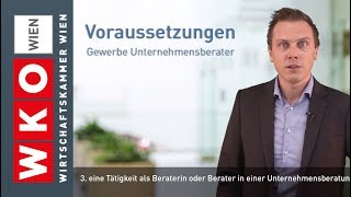 So werden Sie Unternehmensberater [upl. by Verge]