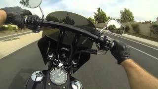 Street Bob Bassani 2 into 1 [upl. by Llorrad]