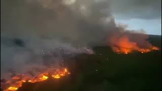 New wildfires raging in southwestern France have destroyed more than 1000 hectares of land and forc [upl. by Hamrnand]