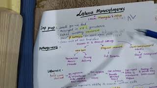 listeria monocytogenes  becteriology  Dr Zubia [upl. by Aholah]