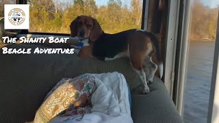 Ep1828 quotCovered Porches for Everyonequot The Shanty Boat Beagle Adventure [upl. by Arvonio18]