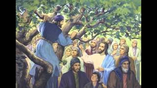 Zacchaeus  A Song for First Reconciliation [upl. by Tnilc]