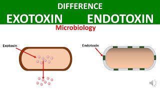 Difference between Exotoxin and Endotoxin [upl. by Seline]