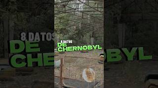 No sabias esto de chernobyl😨 fyp shorts chernobyl [upl. by Annil]