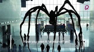 Giant Spider in Qatar [upl. by Freddie]