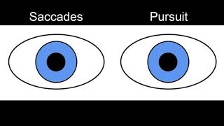 RS Supranuclear Ocular Motor Pathways Part 1  Horizontal Saccades [upl. by Fadden]