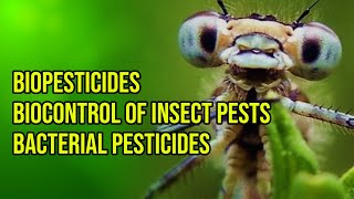 Biopesticides  Biocontrol of insect pests  Bacterial pesticides [upl. by Amin786]