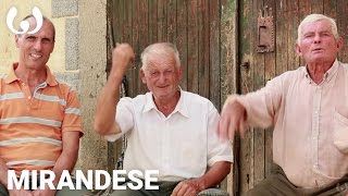 Antônio Domingos and Porfirio speaking Mirandese  Romance languages  Wikitongues [upl. by Ilek]