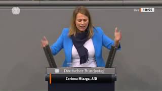 Bundestag FDP und Grüne mit Initiativen zu EUGrund­rechten gescheitert [upl. by Colpin171]