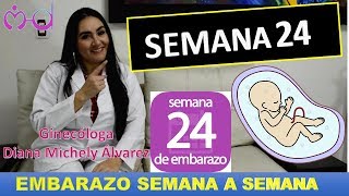 EMBARAZO SEMANA 24 EMBARAZO SEMANA A SEMANA POR GINECOLOGA DIANA ALVAREZ [upl. by New]