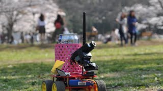 花見にロボットを送ったらビールをたくさんもらった Hanami Robot in Japan [upl. by Tnias]