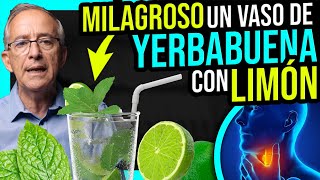 🌿 YERBABUENA Con LIMON 🍋 Que Maravilla  Oswaldo Restrepo RSC [upl. by Fiester854]