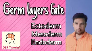 Germ layers embryology Fate of germ layers  Ectoderm  Mesoderm  Endoderm [upl. by Aidan]