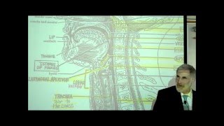 DIGESTIVE SYSTEM PART 2 PHARYNX HEAD amp NECK by Professor Fink [upl. by Oakes]