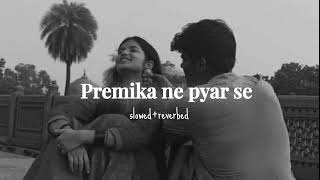 Premika ne pyar se  slowedreverb  LOFI [upl. by Nodroj]