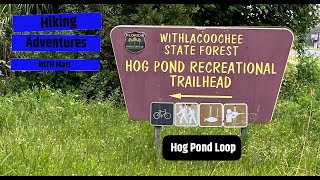 Hog Pond Loop [upl. by Nonnairb]