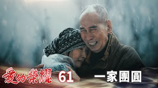 愛的榮耀 EP61 一家團圓｜Glory of Love [upl. by Anivlis522]