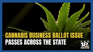 Cannabis Ballot Issue Passes Across Kentucky [upl. by Woolcott690]