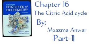 Reaction of the citric acid cycle chapter 16 Part2 in urdu lehninger principles of biochemistry [upl. by Greer747]