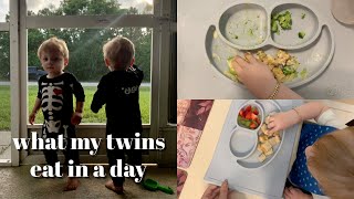 what my 18 month old twins eat in a day vlog style on vacation [upl. by Yreva216]