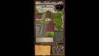 Lets finish up this Agility grind  OSRS  Brighter Shores  Chill Chatting [upl. by Cammi]