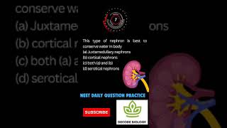 Kidney functionExcretion and Osmoregulationneet daily practice questions [upl. by Bock]