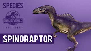 Spinoraptor  SPECIES PROFILE  Jurassic World Evolution [upl. by Nod779]