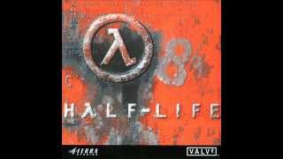 DIABOLICAL ADRENALINE GUITAR  WEVE GOT HOSTILES  Half Life Soundtrack [upl. by Lurie]