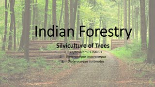 Silviculture of trees  Indian Forestry Lecture6 [upl. by Reeher314]