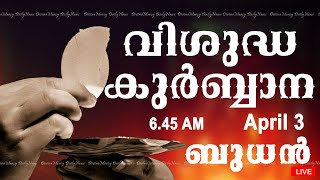 Holy Mass I Malayalam Mass I April 3 I Wednesday I Qurbana I 645 AM [upl. by Ecnaiva592]