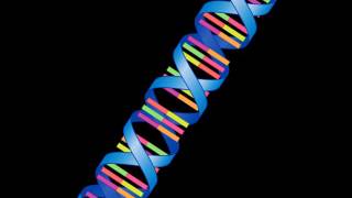 DNA Chromosomes and Genes [upl. by Econah]