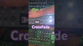 Crossfade Argon8m Oscilators improvisation electronicmusic idm synth modularsynth [upl. by Worra]