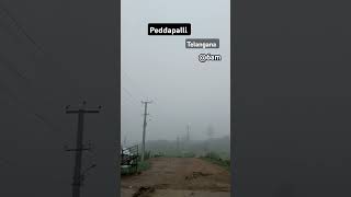 Peddapalli early morning 6AM viewpeddapalli morning manu24dairies greenery secenery song [upl. by Chariot]